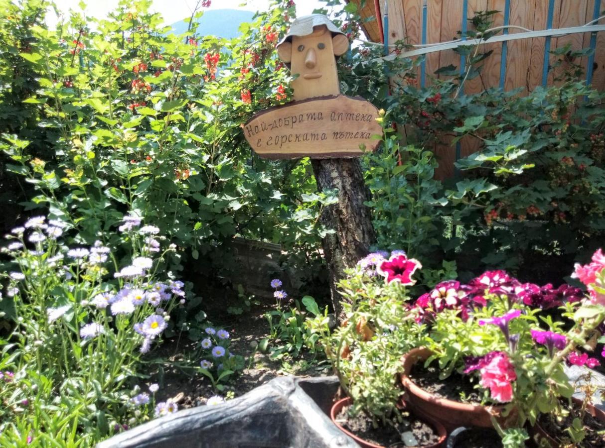 Guest House Milka Jagodina Kültér fotó