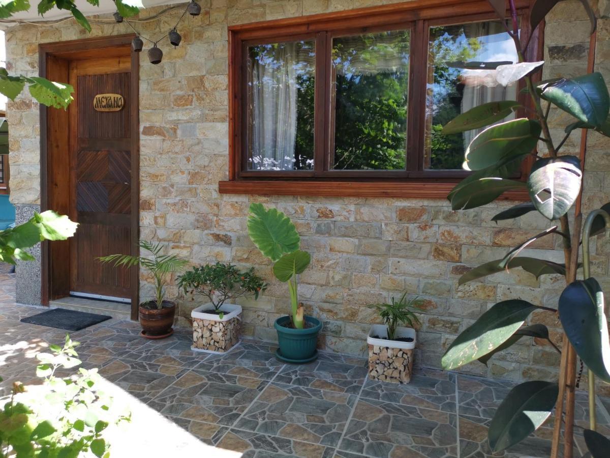 Guest House Milka Jagodina Kültér fotó